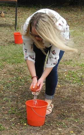 DSCN3975bearb.jpg DSCN3975bearb.jpg