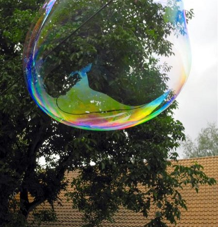 DSCN3929.JPG DSCN3929.JPG