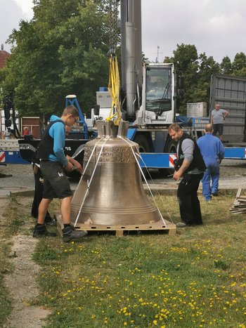 IMG_20210811_103530.jpg IMG_20210811_103530.jpg