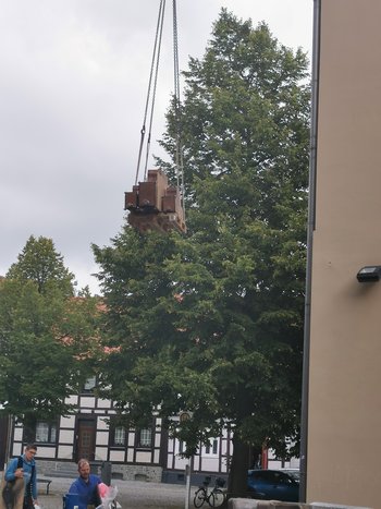 IMG_20210811_104154.jpg IMG_20210811_104154.jpg